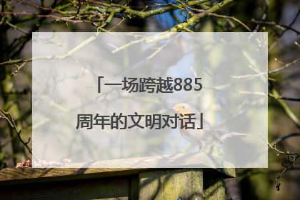 一场跨越885周年的文明对话