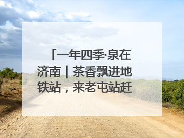 一年四季·泉在济南｜茶香飘进地铁站，来老屯站赶一场别开生面的“茶韵市集”！