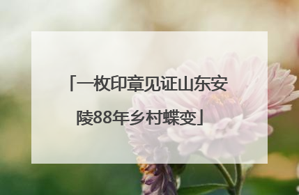一枚印章见证山东安陵88年乡村蝶变