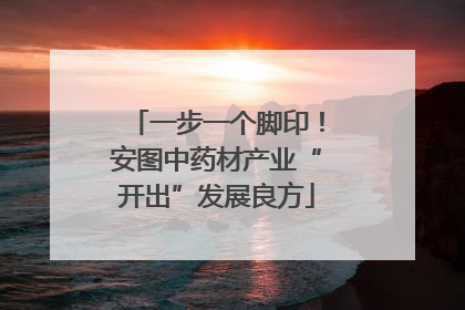 一步一个脚印！安图中药材产业“开出”发展良方