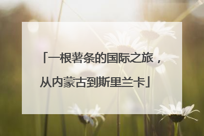 一根薯条的国际之旅，从内蒙古到斯里兰卡