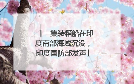 一集装箱船在印度南部海域沉没，印度国防部发声