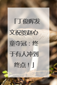 丁俊晖发文祝贺赵心童夺冠：终于有人冲到终点！
