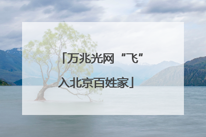 万兆光网“飞”入北京百姓家