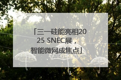三一硅能亮相2025 SNEC展，智能微网成焦点