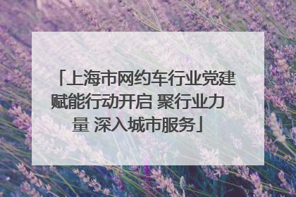 上海市网约车行业党建赋能行动开启 聚行业力量 深入城市服务