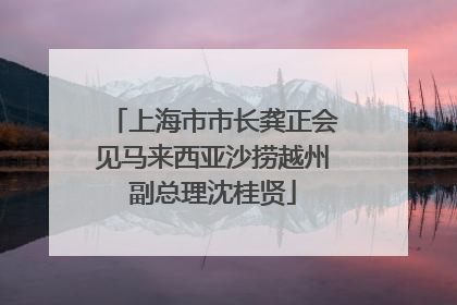 上海市市长龚正会见马来西亚沙捞越州副总理沈桂贤