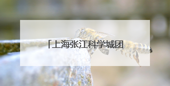 上海张江科学城团工委成立，将服务40余万名青年人