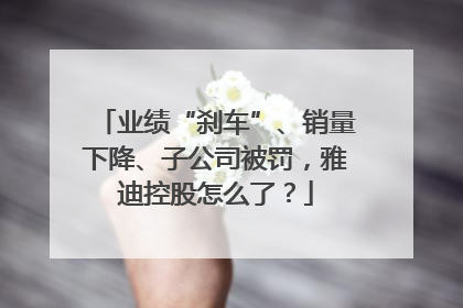 业绩“刹车”、销量下降、子公司被罚，雅迪控股怎么了？