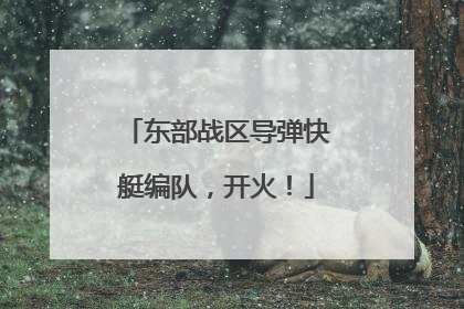 东部战区导弹快艇编队，开火！