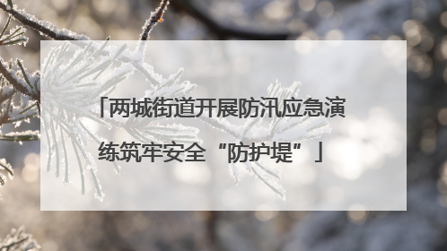两城街道开展防汛应急演练筑牢安全“防护堤”