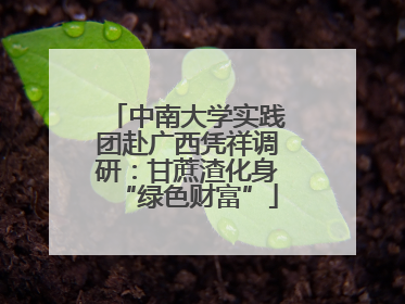 中南大学实践团赴广西凭祥调研：甘蔗渣化身“绿色财富”
