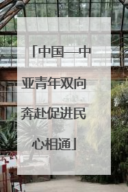 中国—中亚青年双向奔赴促进民心相通