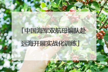 中国海军双航母编队赴远海开展实战化训练