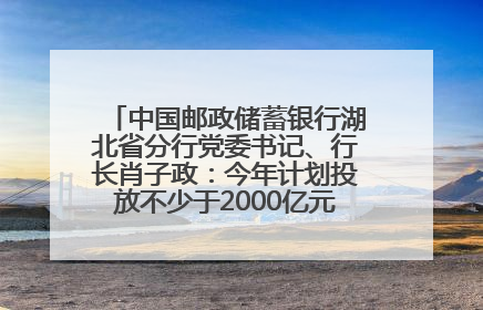 中国邮政储蓄银行湖北省分行党委书记、行长肖子政：今年计划投放不少于2000亿元支持支点建设