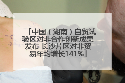 中国（湖南）自贸试验区对非合作创新成果发布 长沙片区对非贸易年均增长141%