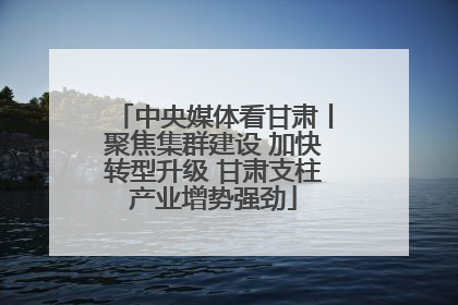 中央媒体看甘肃丨聚焦集群建设 加快转型升级 甘肃支柱产业增势强劲