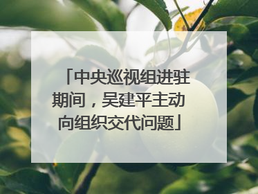 中央巡视组进驻期间，吴建平主动向组织交代问题