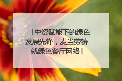 中资赋能下的绿色发展先锋，麦当劳铸就绿色餐厅网络