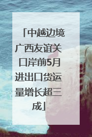 中越边境广西友谊关口岸前5月进出口货运量增长超三成
