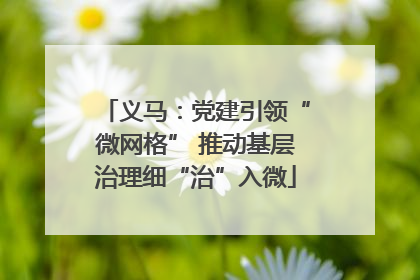 义马：党建引领“微网格” 推动基层治理细“治”入微