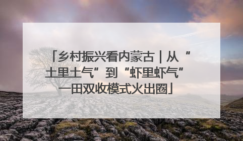 乡村振兴看内蒙古｜从“土里土气”到“虾里虾气” 一田双收模式火出圈