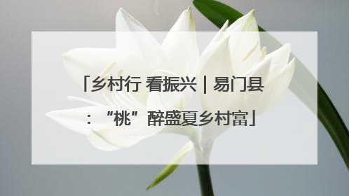 乡村行 看振兴｜易门县：“桃”醉盛夏乡村富