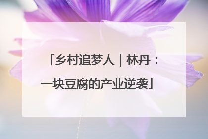 乡村追梦人｜林丹：一块豆腐的产业逆袭