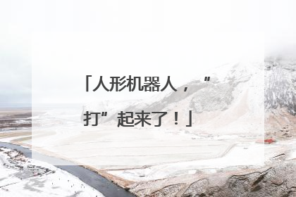 人形机器人，“打”起来了！