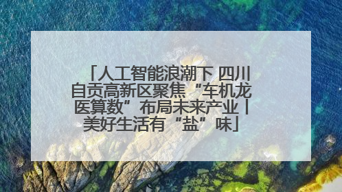 人工智能浪潮下 四川自贡高新区聚焦“车机龙医算数”布局未来产业丨美好生活有“盐”味