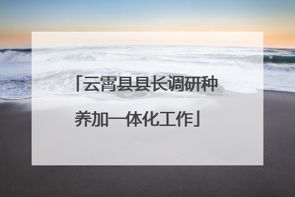 云霄县县长调研种养加一体化工作