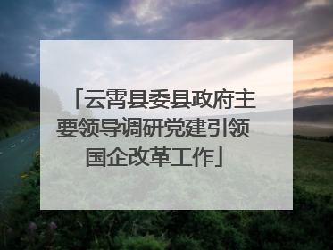 云霄县委县政府主要领导调研党建引领国企改革工作