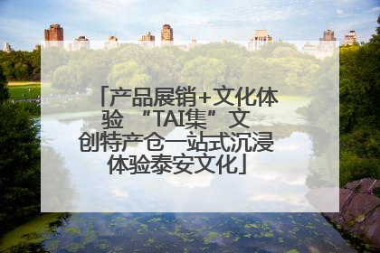 产品展销+文化体验 “TAI集”文创特产仓一站式沉浸体验泰安文化
