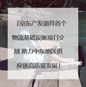 京东产发迪拜首个物流基础设施项目交割 助力中东地区供应链高质量发展
