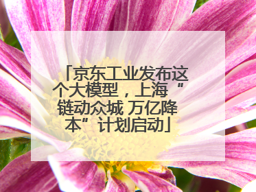 京东工业发布这个大模型，上海“链动众城 万亿降本”计划启动