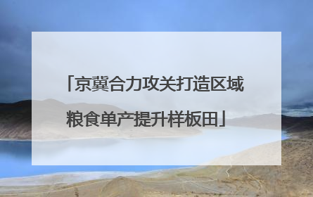 京冀合力攻关打造区域粮食单产提升样板田
