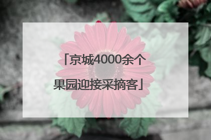 京城4000余个果园迎接采摘客