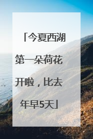 今夏西湖第一朵荷花开啦，比去年早5天