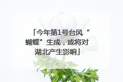 今年第1号台风“蝴蝶”生成，或将对湖北产生影响