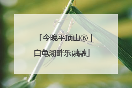 今晚平顶山⑥｜白龟湖畔乐融融