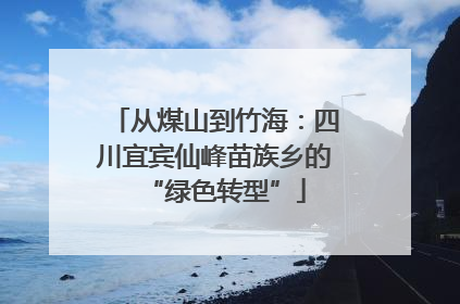 从煤山到竹海：四川宜宾仙峰苗族乡的“绿色转型”