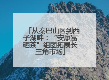 从秦巴山区到西子湖畔：“安康富硒茶”组团拓展长三角市场