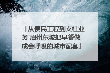 从便民工程到支柱业务 眉州东坡把早餐做成会呼吸的城市配套
