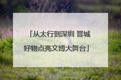 从太行到深圳 晋城好物点亮文博大舞台