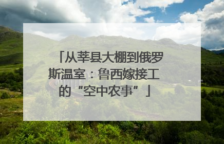 从莘县大棚到俄罗斯温室：鲁西嫁接工的“空中农事”
