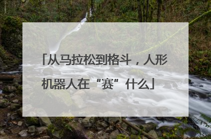 从马拉松到格斗，人形机器人在“赛”什么