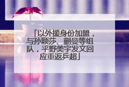 以外援身份加盟，与孙颖莎、蒯曼等组队，平野美宇发文回应重返乒超