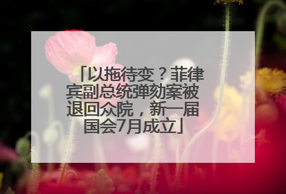 以拖待变？菲律宾副总统弹劾案被退回众院，新一届国会7月成立