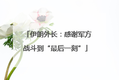伊朗外长：感谢军方战斗到“最后一刻”