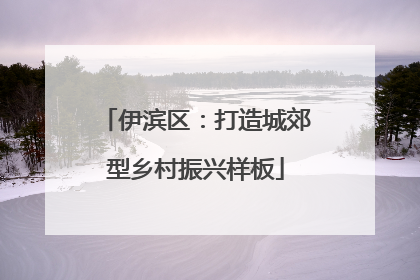 伊滨区：打造城郊型乡村振兴样板